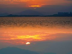 -深圳湾公园(南山区)
