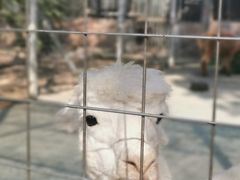-迪茵湖田家舍生态农场
