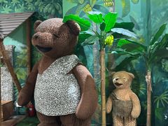 -济州岛泰迪熊博物馆