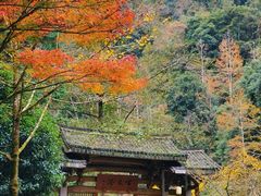 -刘伯温故里景区百丈漈