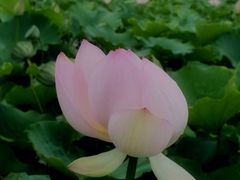 -处女泉风景名胜区