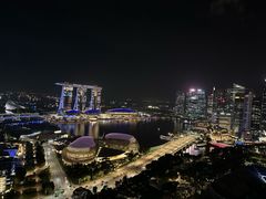 -新加坡瑞士史丹福酒店