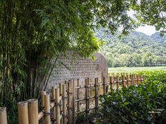 -中国茶叶博物馆(双峰馆区)