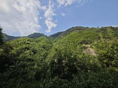 -井空里大峡谷