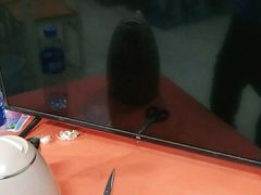 -天津啄木鸟数码维修