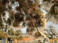 -北京南山滑雪场