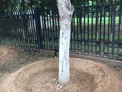 -永定河休闲森林公园