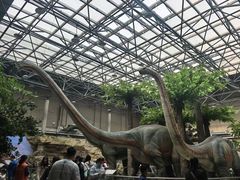 -国家自然博物馆