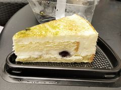 -蜜肆动物奶油蛋糕·个性定制·下午茶甜品