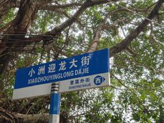 -小洲村