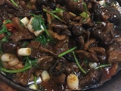 -胡杨记忆(和平路店)