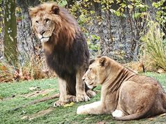 -北京野生动物园