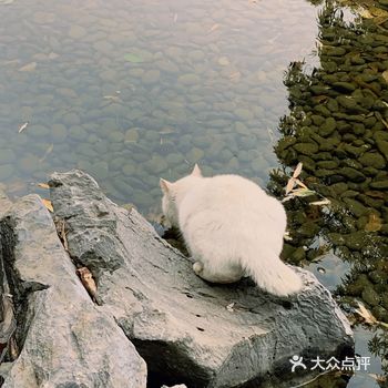 夏天的时候来过两次这个公园但都是晚上 那会的雕塑都没