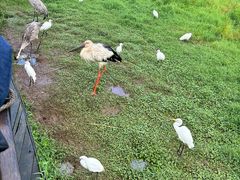 -普洱太阳河森林公园