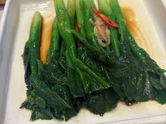 -新雅粤菜馆(南京东路店)