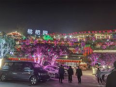 -枇杷园食为鲜火锅(南山店)