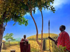 -国家自然博物馆