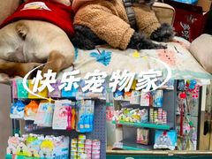-瑞派天宁宠物医院·猫科·异宠中心