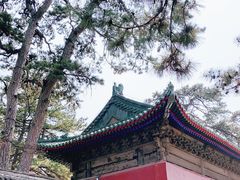 -普乐寺