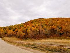 -塞罕坝国家级自然保护区