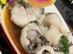 脆肉白灼鱼片-肥佬椰子鸡(文锦渡店)