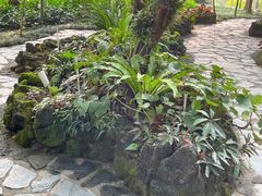 -东莞植物园