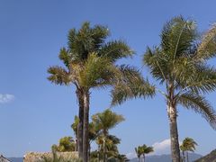 -月亮湾湿地公园