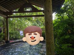 -腾冲洞山温泉村