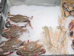 -渔娘渔家丹东海鲜(东直门店)