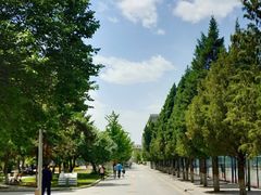 -东北大学(南湖校区)