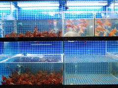 水产区-盱眙小龙虾(天虹店)