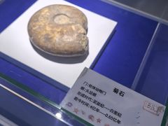 -贝壳王国博物馆