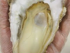 -抹直口特色菜馆(一店)