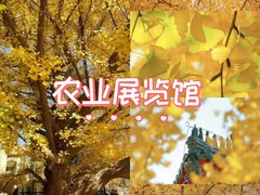 -中国农业博物馆