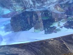 -呼和浩特博物馆