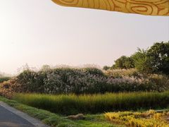 -良渚古城遗址公园