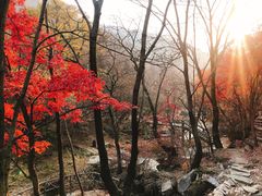 -三块石国家森林公园