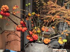 -一坐一忘云南菜(三里屯店)
