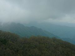 -牛背梁国家森林公园