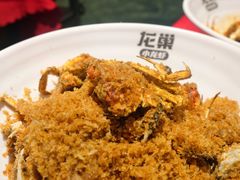 -龙巢盱眙龙虾·牛蛙·烧烤宵夜(八卦岭店)