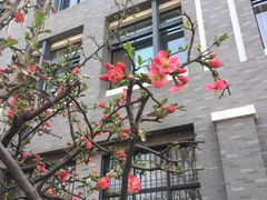 -山东大学(洪家楼校区)