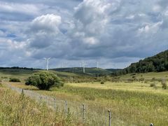 -塞罕坝国家级自然保护区