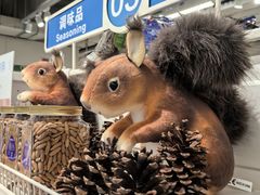 -紫荆广场·花漫里