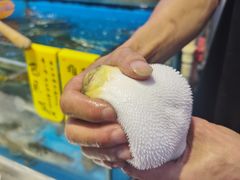 -飞尝蚝·顺德菜·鱼生(顺德总店)