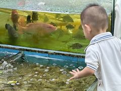 -景好海鲜餐厅(大鹏必选旅游店)