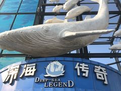 -大连圣亚海洋世界