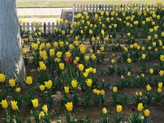 -永定河休闲森林公园