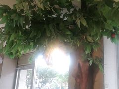 -仙踪林(北展店)