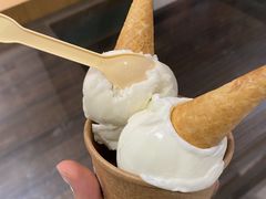 东北红参雪糕-歎雪糕低糖低脂Gelato冰淇淋