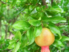 -中关村生命科学园